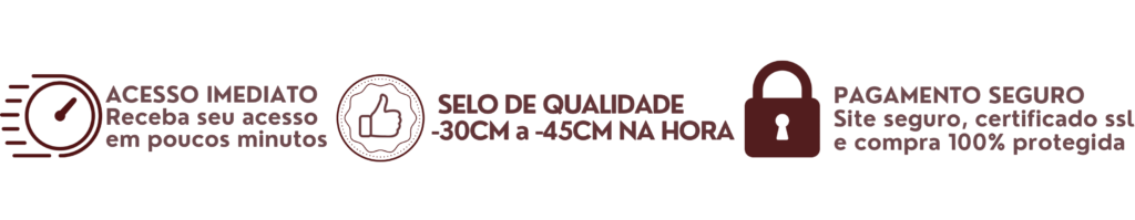 Acesso imediato, selo de qualidade e pagamento seguro